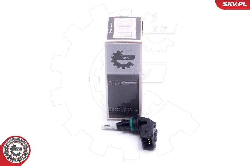 Sensor, intake air temperature